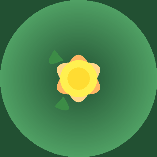 Цветы Клары